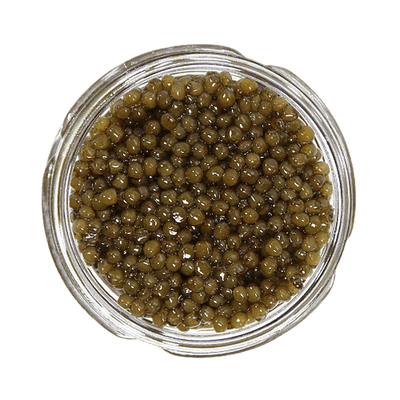 Osetra Caviar - 1 OZ (28G) | Haute Caviar Company .