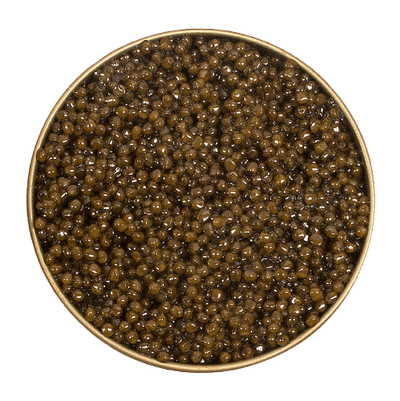 Osetra Caviar - 4.4OZ (125G) | Haute Caviar Company .